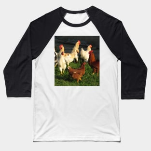 Poultry Baseball T-Shirt